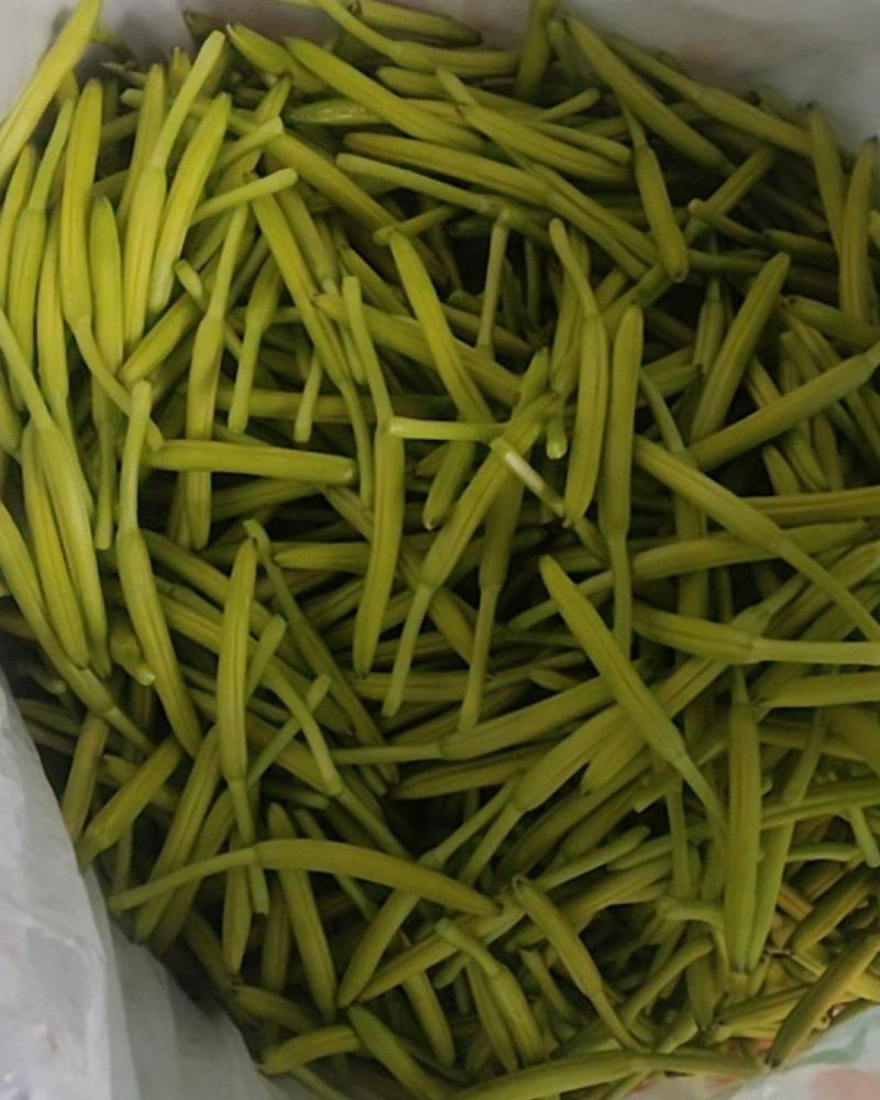 鲜品黄花菜