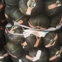 贝贝南瓜