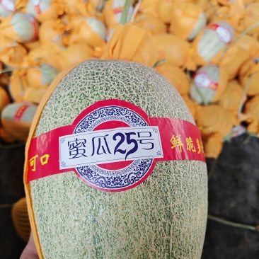 晓蜜25