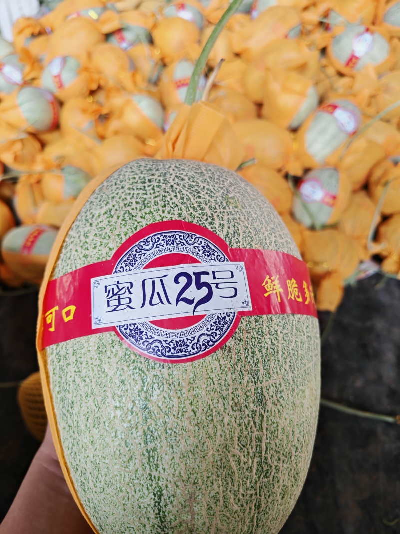 晓蜜25
