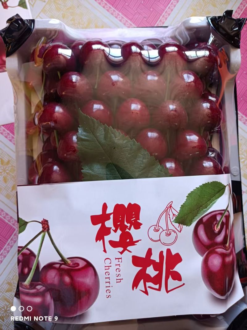 万亩精品车厘子。樱桃