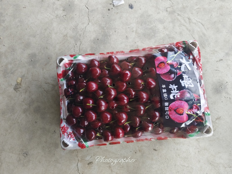 万亩精品车厘子。樱桃