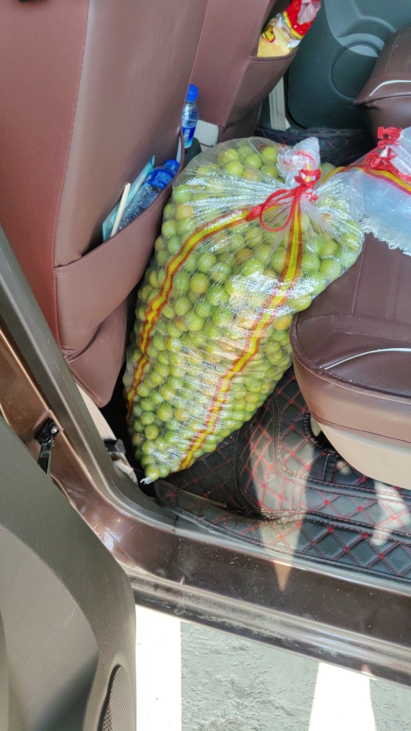 云南三华李三月李