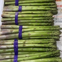 精品芦笋，价格便宜