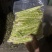 湖北高山重庆高山油竹笋，新鲜上市，货源充足