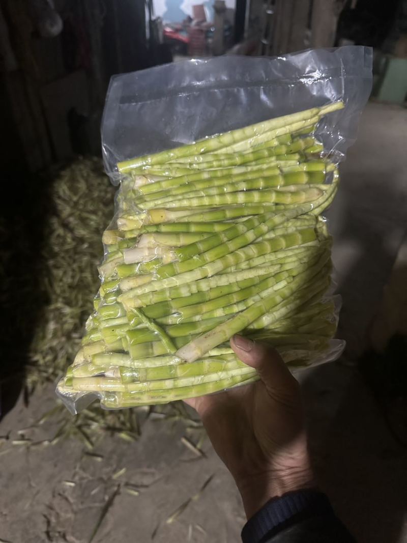 湖北高山重庆高山油竹笋，新鲜上市，货源充足