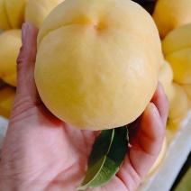 枣阳桃子