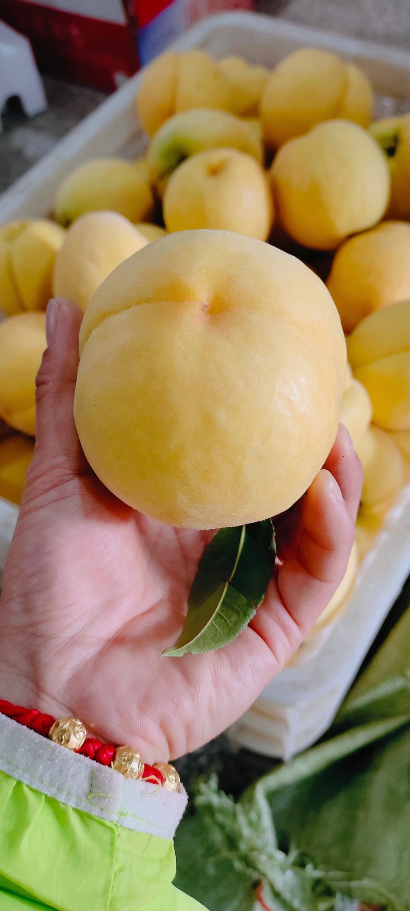 枣阳桃子