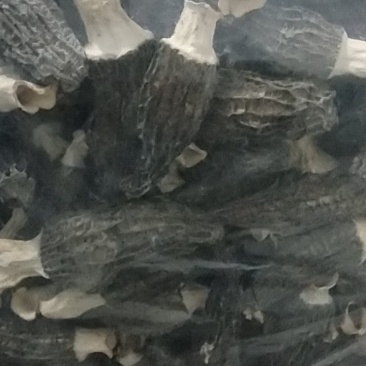 羊肚菌干货。