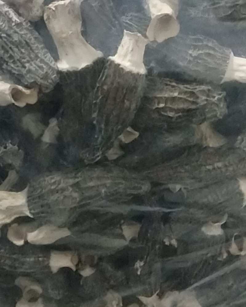 羊肚菌干货。