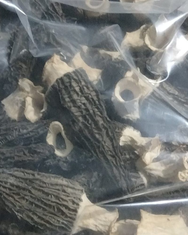 羊肚菌干货。