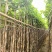 宫粉紫荆3-18分，基地直销，各种规格，大量低价出售