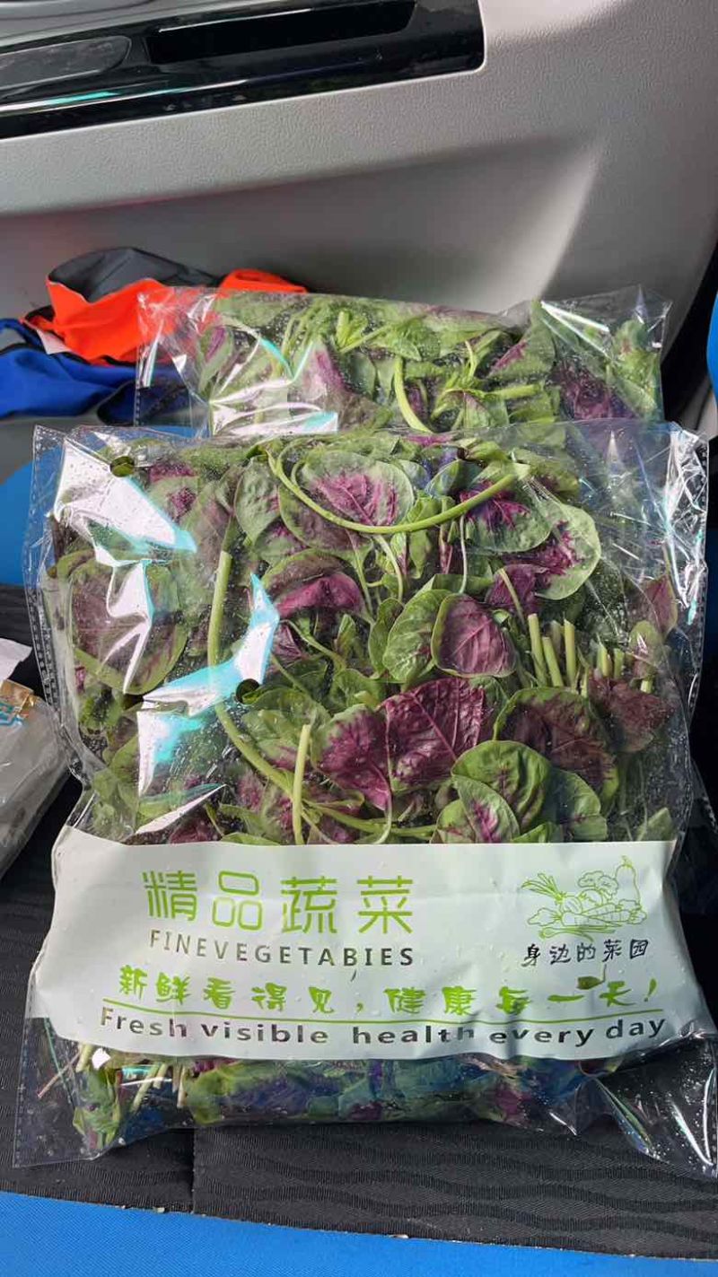 合肥苋菜基地，苋菜供应