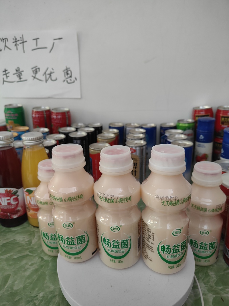 乳酸菌饮品340mL一箱*12瓶塑包装厂家直发