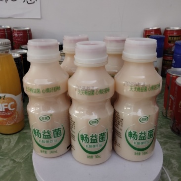 乳酸菌饮品340mL✘12瓶含蛋白0.7全国发货