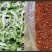 现拌鲜儿菜丝，鲜儿菜丝/片，原料供应
