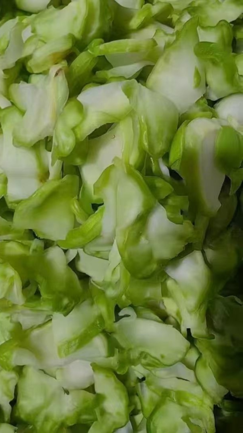 现拌鲜儿菜丝，鲜儿菜丝/片，原料供应