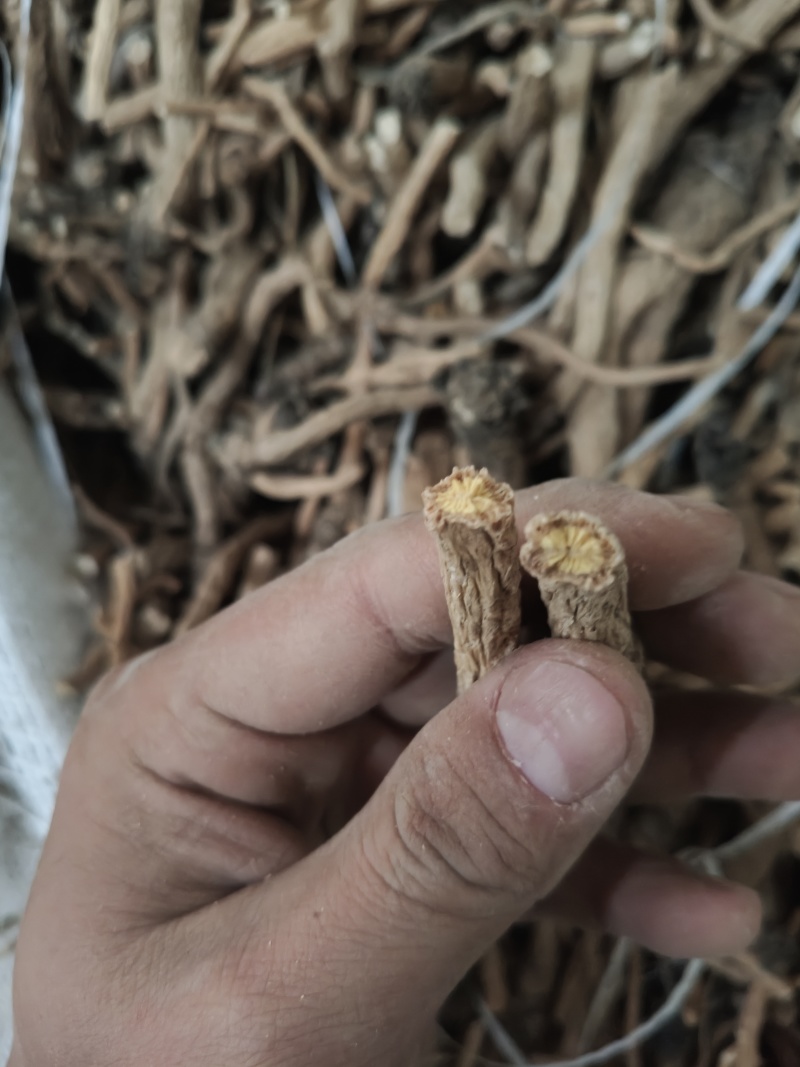 河南板蓝根大量有货，需要的联系