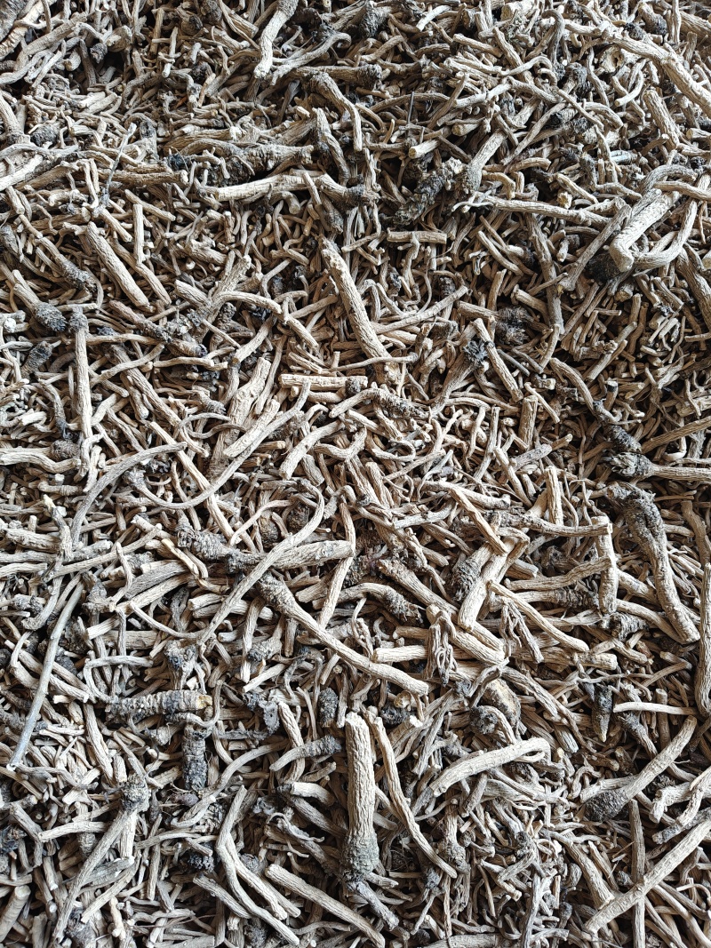 河南板蓝根大量有货，需要的联系