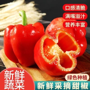山东新鲜彩椒一件代发。