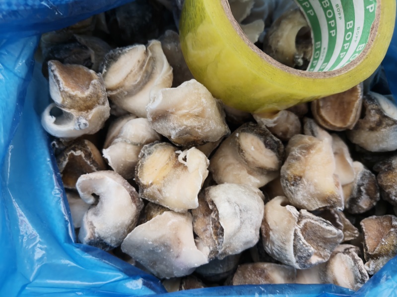海螺肉
