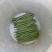 云南临沧四季豆小金豆