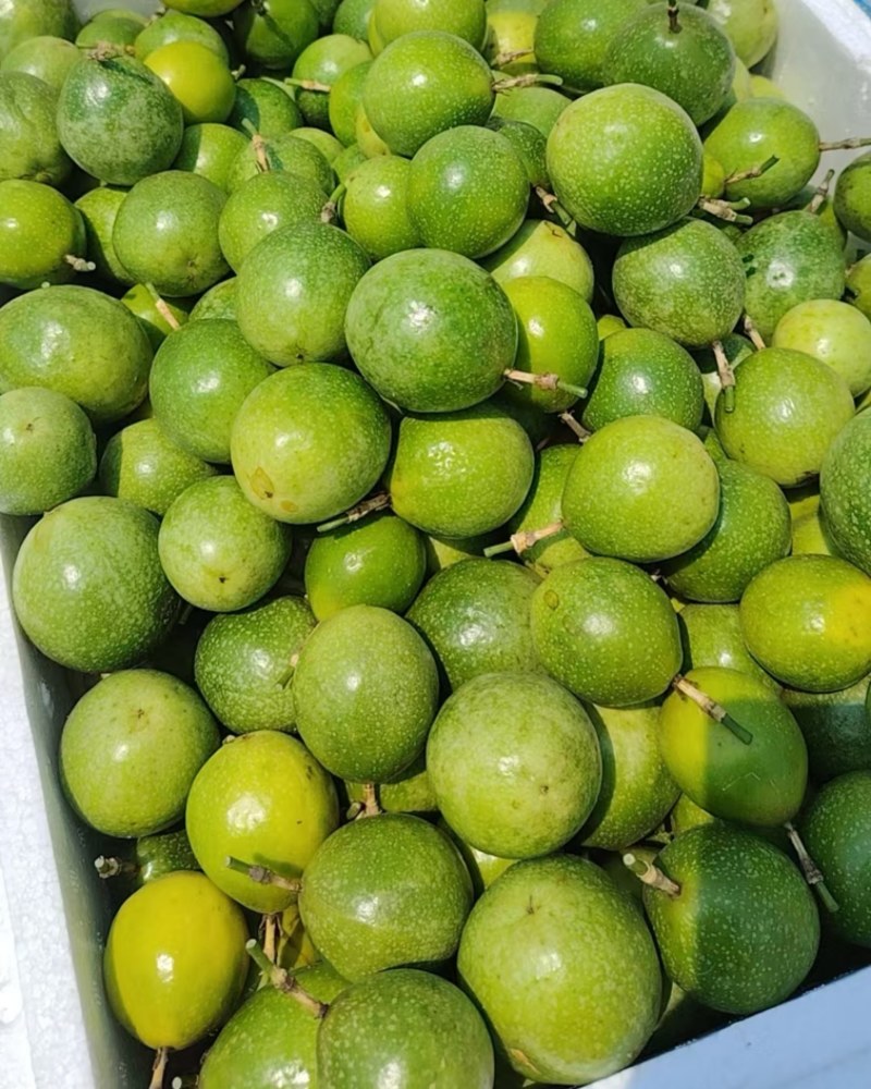 百香果