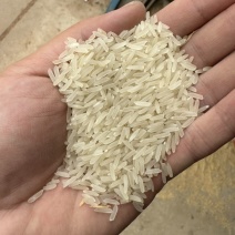 高端象牙农家米批发价格优势