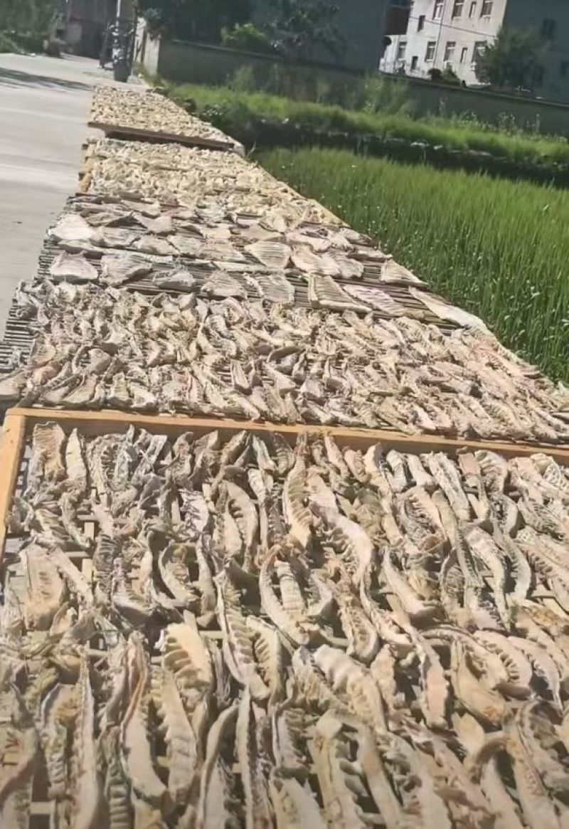 衢州常山特产大竹笋干