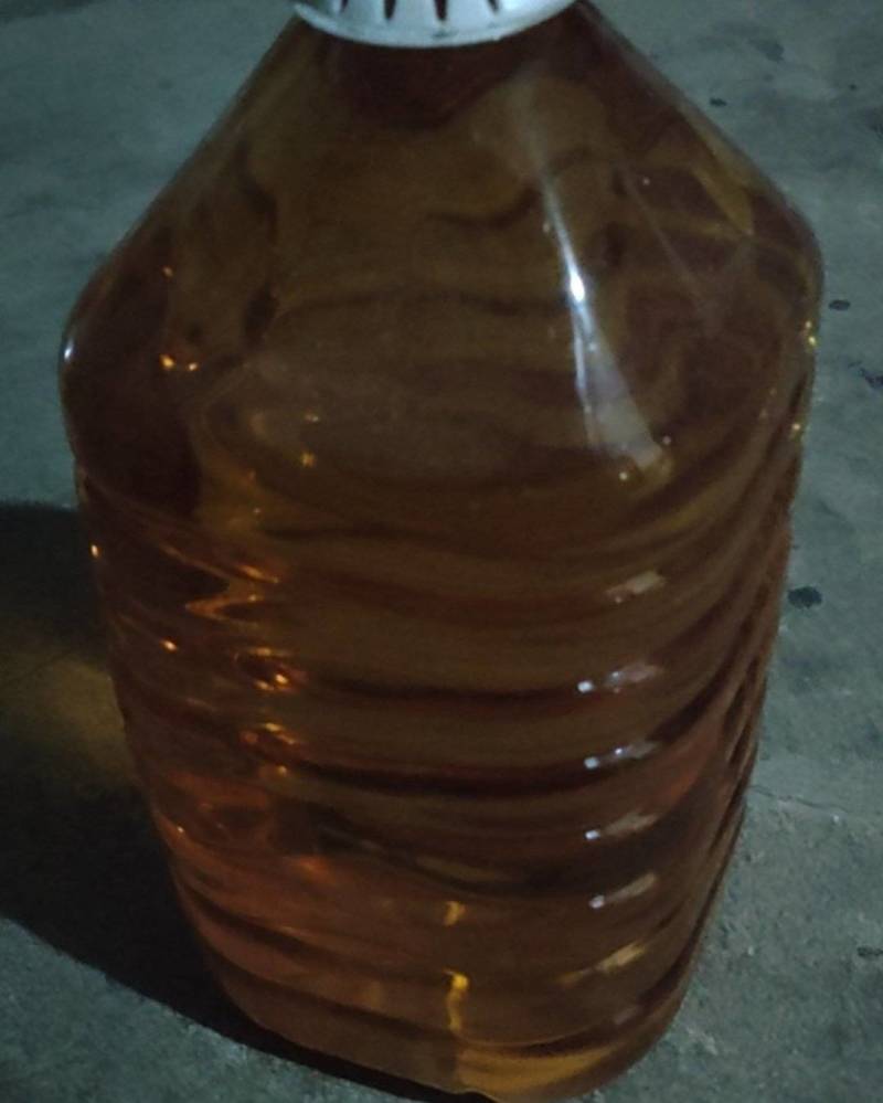 湖南邵阳武冈山茶籽油