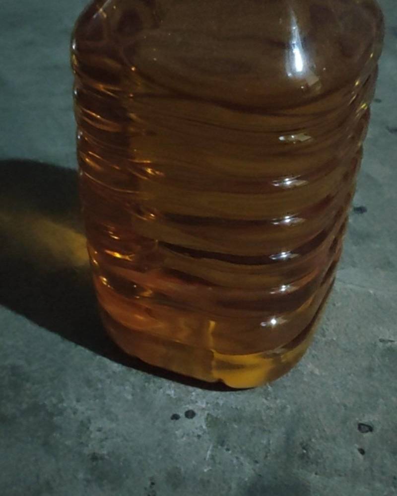 湖南邵阳武冈山茶籽油