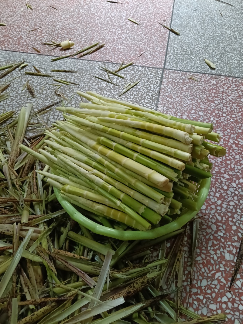 野生竹笋干