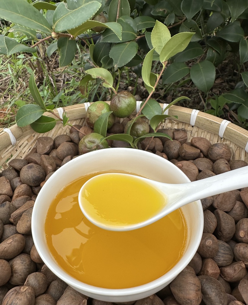 永州山茶油