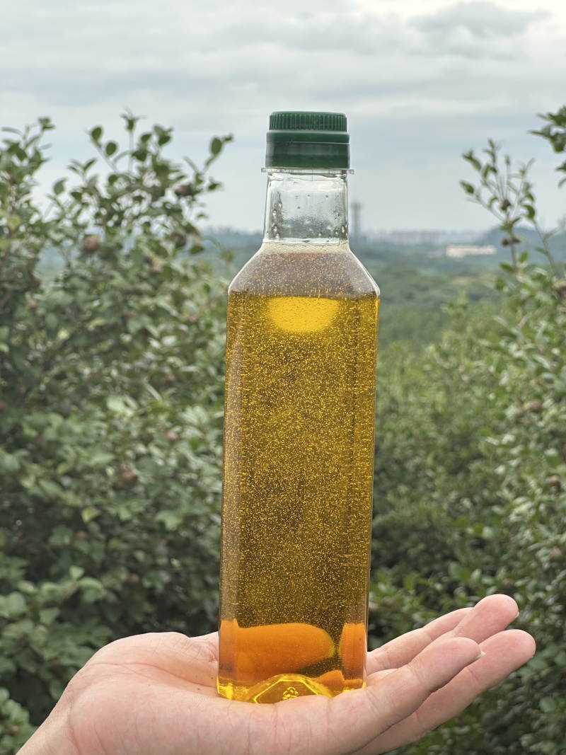 永州山茶油
