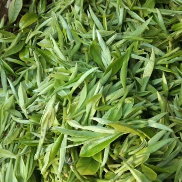 云南普洱茶，
