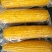 东北糯玉米大玉米280-320十根一箱
