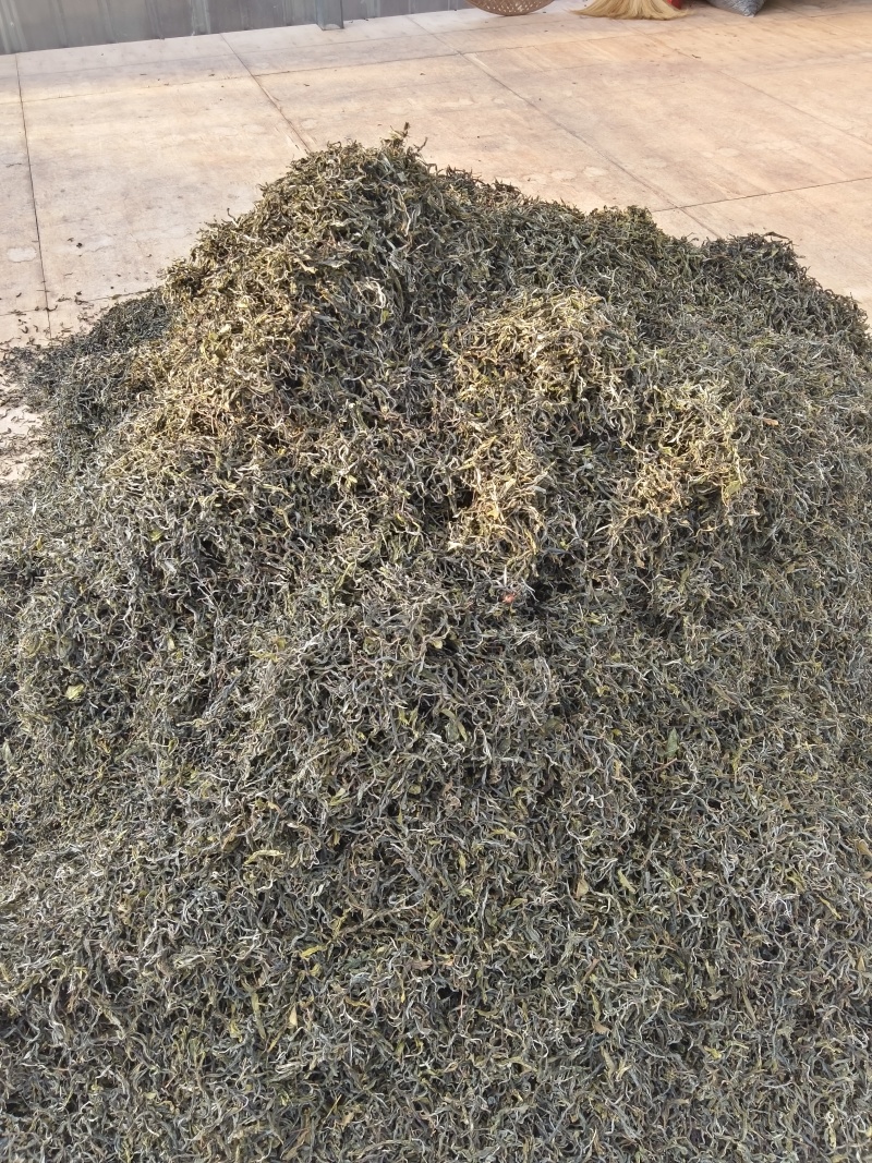 普洱墨江景星凤凰山星睿茶叶初制所