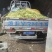 罗汉笋