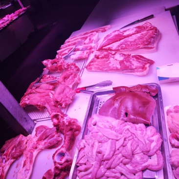 生鲜猪肉批发晚上下架猪肉处理隔夜猪肉处理
