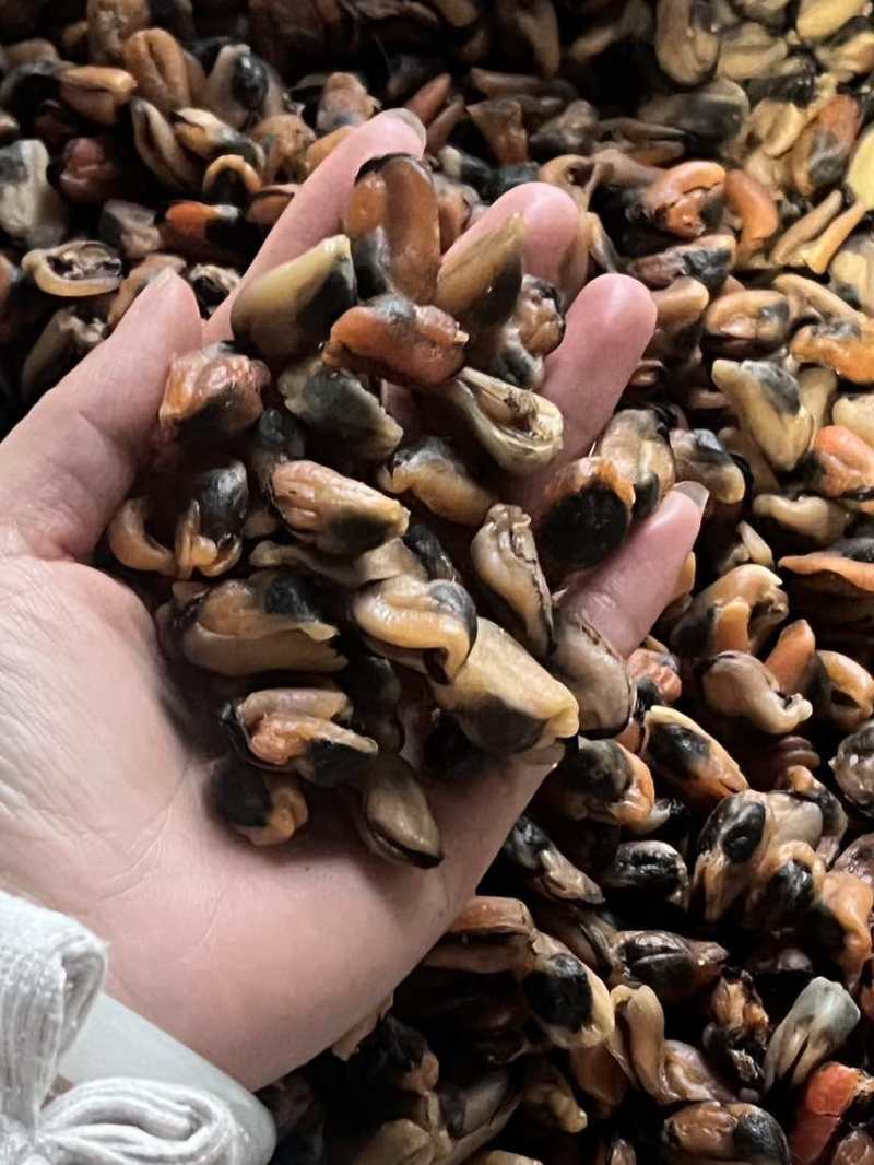 自然晾晒***淡菜干，一手货源无沙足干