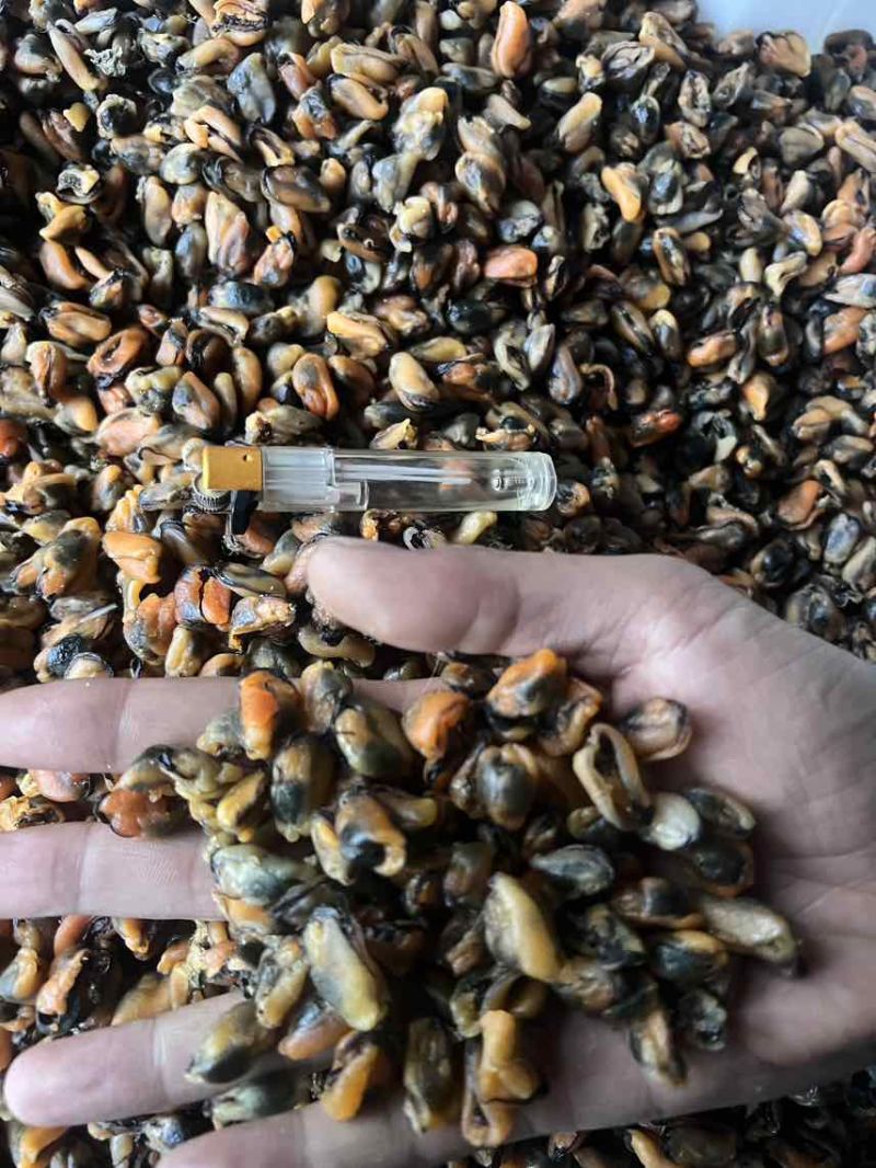 自然晾晒***淡菜干，一手货源无沙足干