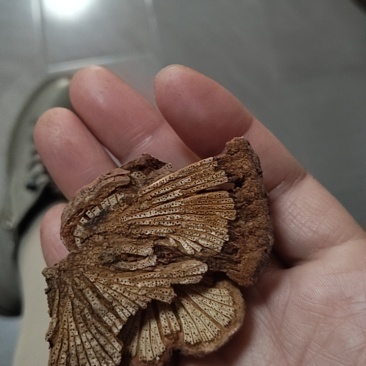 大量收购各种山货好品