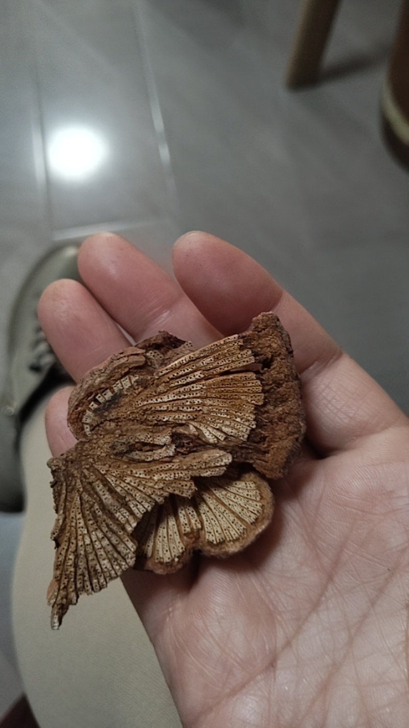大量收购各种山货好品