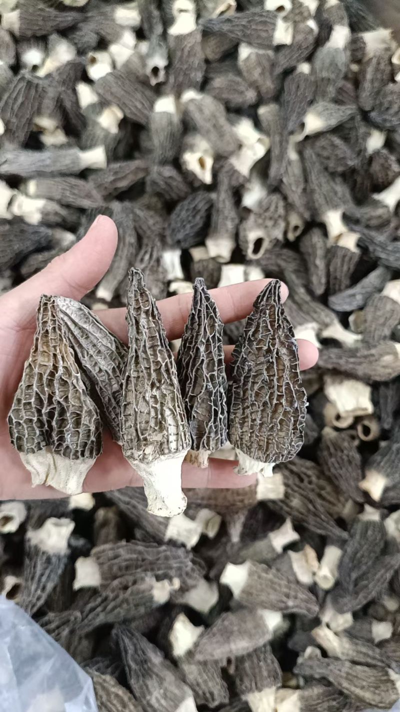 大量收购各种山货好品
