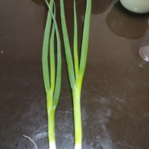 小香葱