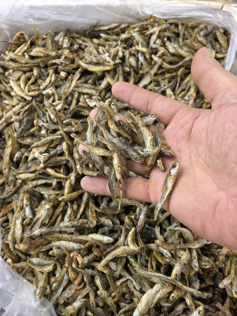 火培火烤麦穗鱼小个