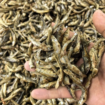 火培火烤麦穗鱼小个