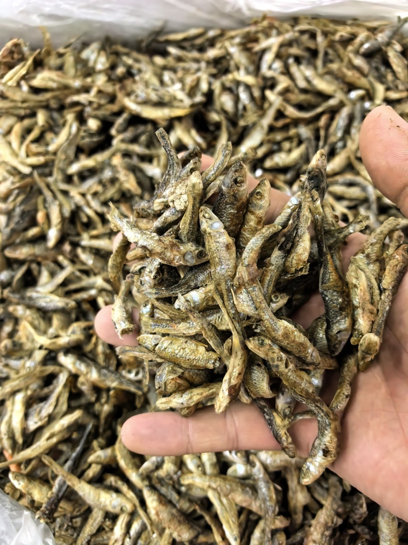 火培火烤麦穗鱼小个
