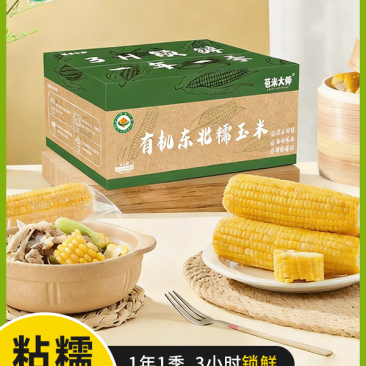 有机黄糯玉米一箱8根220g没根