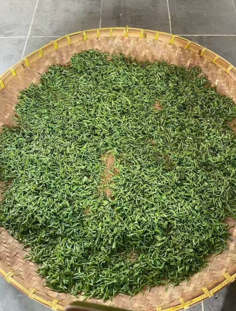 西山碧螺春茶叶